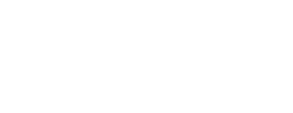 https://esxweb.com/wp-content/uploads/2023/03/napco-logo-white.png