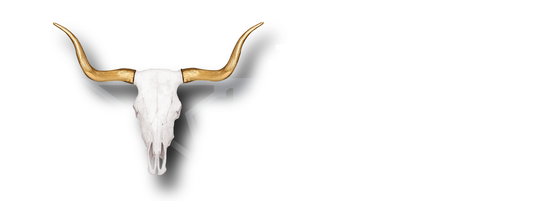 https://esxweb.com/wp-content/uploads/2025/06/ESX-2026-Rebook-Branding.png